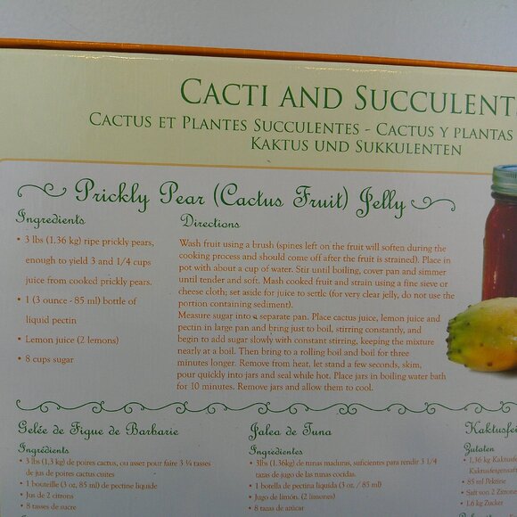 Eurographacs Cacti And Succulents 1000 Piece Jigsaw Puzzle - Picture 5 of 11